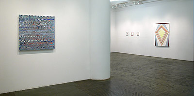 Installation View 2011 1