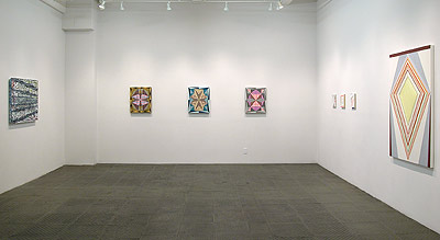 Installation View 2011 7