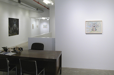 Installation view 2015 2