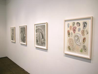 Installation View 2011 11