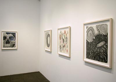 Installation View 2011 3