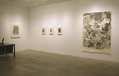 Installation View 2014 1