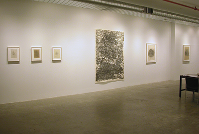 Installation View 2014 5