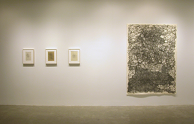 Installation View 2014 6