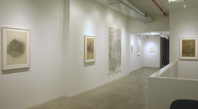 Installation View 2014 9