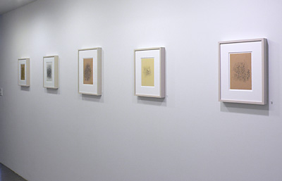 Installation View 2017 14