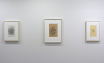 Installation View 2017 15