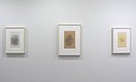  James Nelson, installation 15