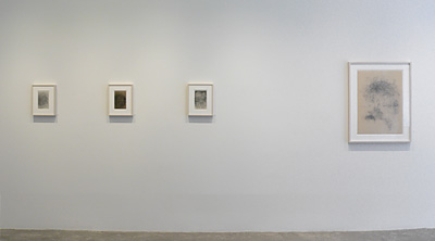 Installation View 2017 2
