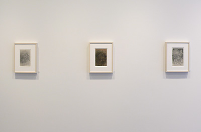 Installation View 2017 3
