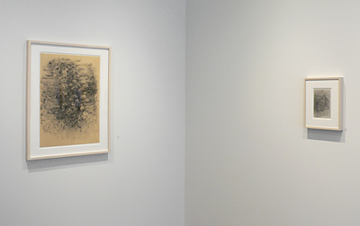 Installation View 2017 4