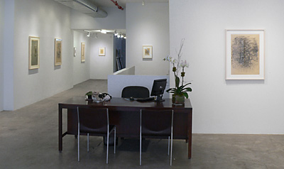 Installation View 2017 5