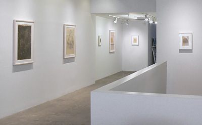 Installation View 2017 6