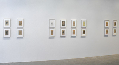 Installation View 2017 7