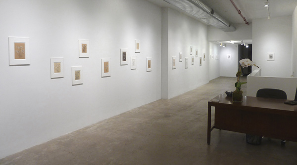 Installation View 2020 16