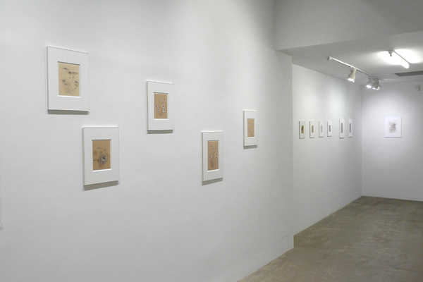 Installation View 2020 17