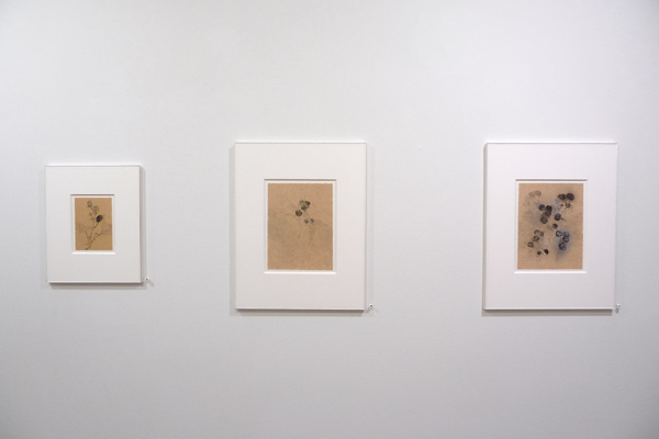 Installation View 2020 23