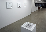 Pete Schulte, installation 33