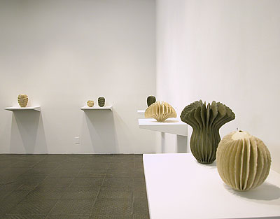 Installation View 2010 4