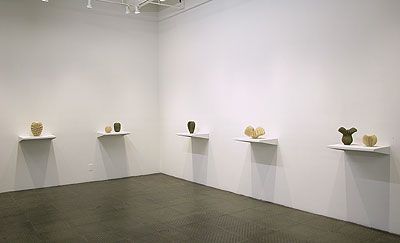 Installation View 2010 7