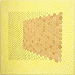 Sara Eichner, Hexagon Intersection (Tan on Yellow)