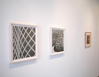 Installation view 2013 7