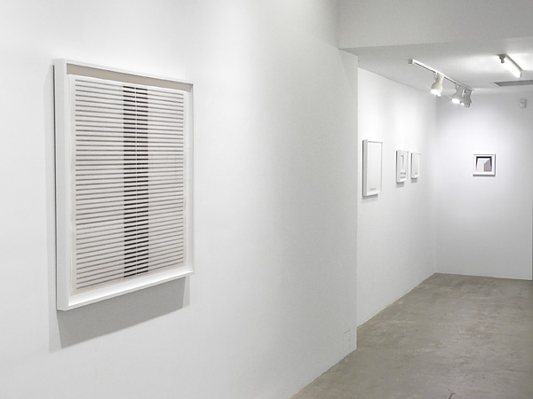 Installation View 2019 15