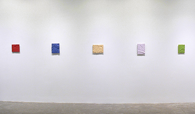 Installation view 2017 6