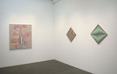 Installation View 2011 3