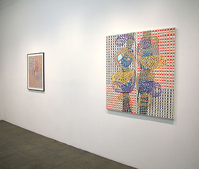 Installation View 2011 6