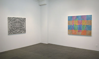 Installation View 2011 8