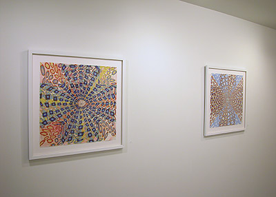 Installation View 2014 10