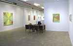 Laura Watt, 2014 installation 3