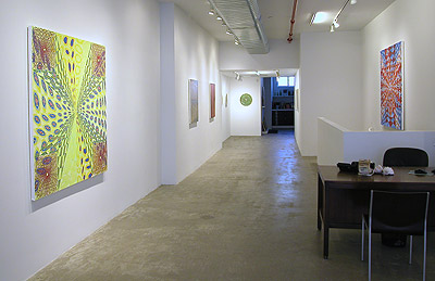 Installation View 2014 5