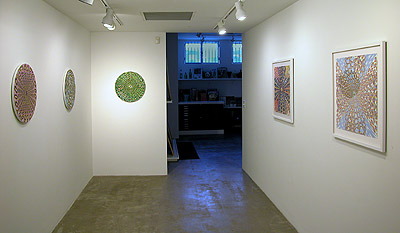 Installation View 2014 8