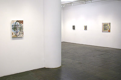 Installation View 2011 1