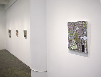 Installation View 2011 6