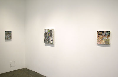 Installation View 2011 8