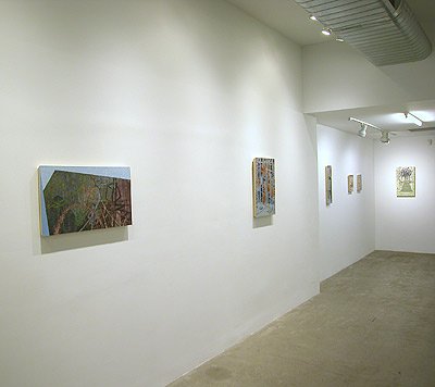 Installation View 2014 10