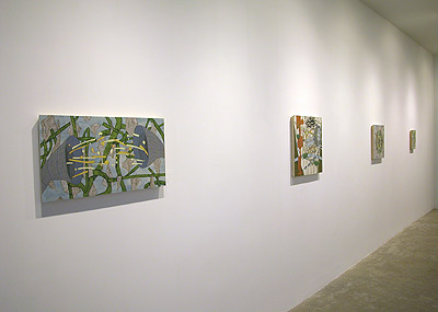 Installation View 2014 5