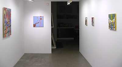 Installation View 2017 8